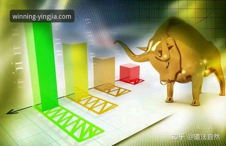 盈嘉体育数据准确吗教程最新动态：新手必看的数据分析实战指南